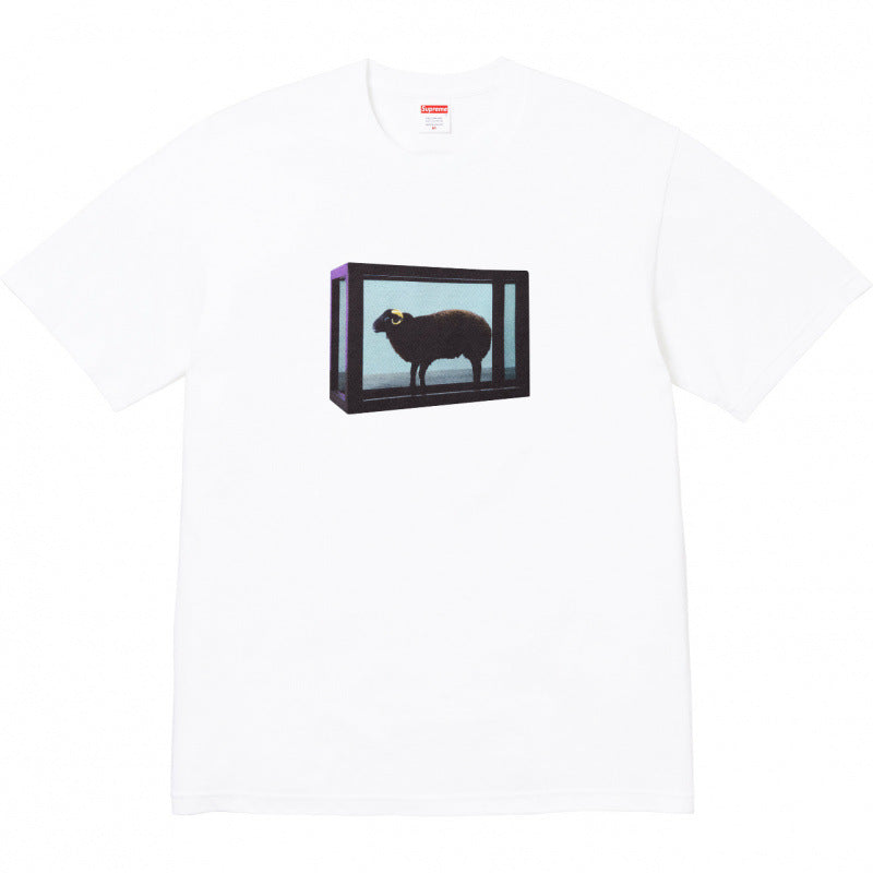 Top version Supreme SS25 Short sleeved T-shirt, trendy street style short sleeved T-shirt (8)