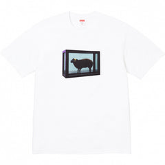 Top version Supreme SS25 Short sleeved T-shirt, trendy street style short sleeved T-shirt (8)