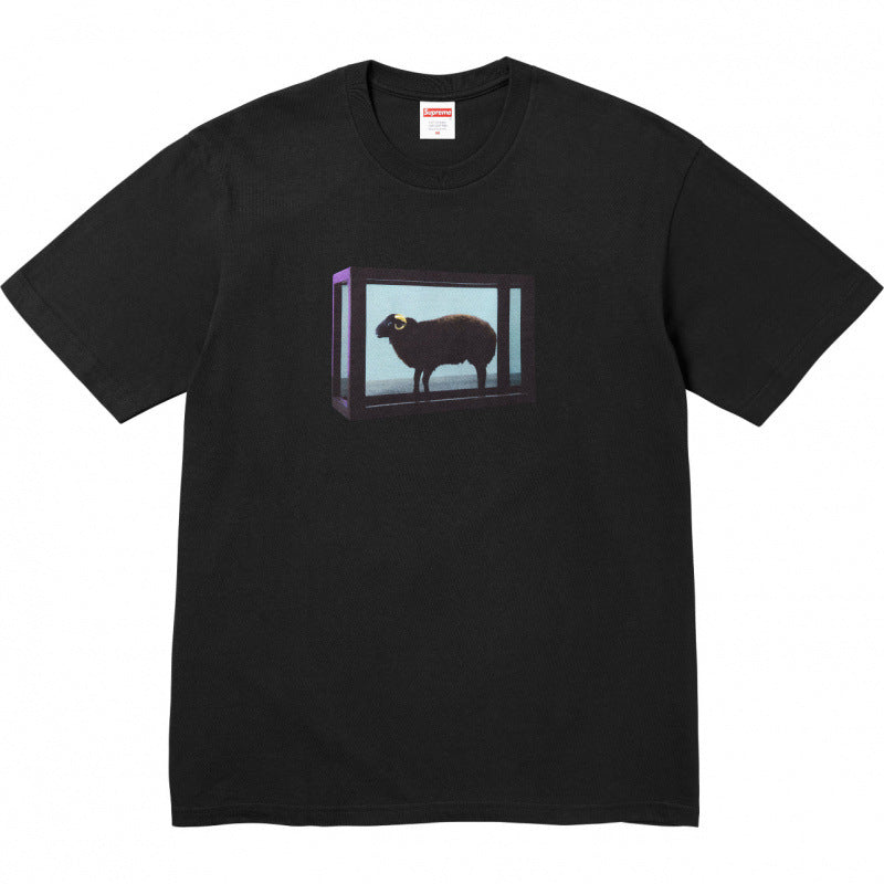 Top version Supreme SS25 Short sleeved T-shirt, trendy street style short sleeved T-shirt (7)